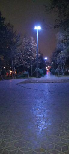 عکس بوستان گلریز