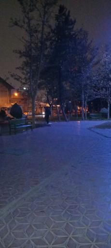 عکس بوستان گلریز