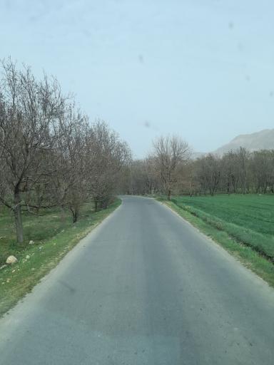 عکس طایمه