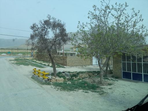 عکس طایمه