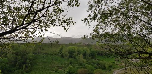 پارک جنگلی مشکین شهر