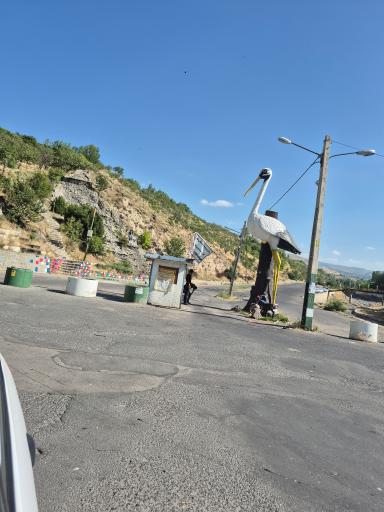 عکس پارک جنگلی مشکین شهر