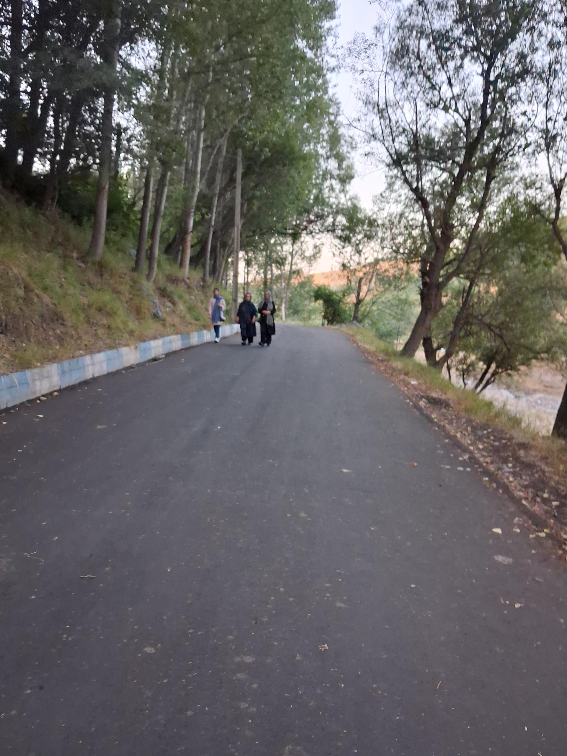 عکس پارک جنگلی مشکین شهر