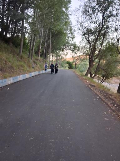 عکس پارک جنگلی مشکین شهر