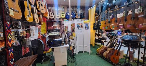 موسیقی هنرکده گیتاریست