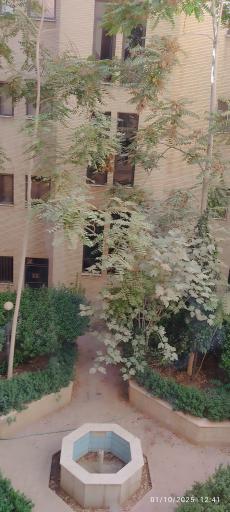 عکس سازمان تامین اجتماعی استان کرمان