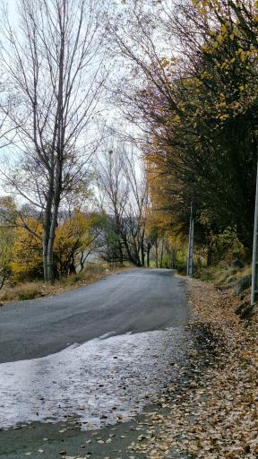 عکس پارک جنگلی مشکین شهر