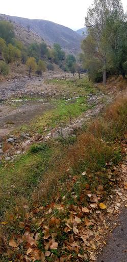 عکس پارک جنگلی مشکین شهر