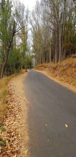 عکس پارک جنگلی مشکین شهر