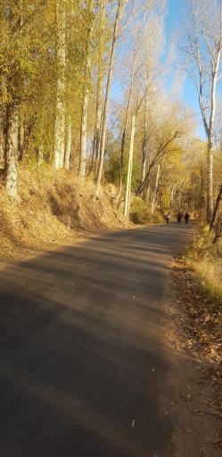 عکس پارک جنگلی مشکین شهر