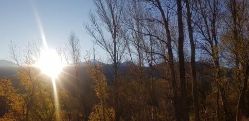 عکس پارک جنگلی مشکین شهر