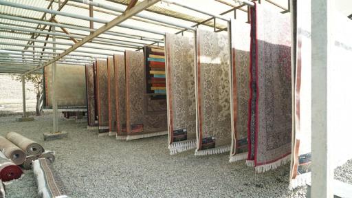 عکس قالیشویی عادل نوعی