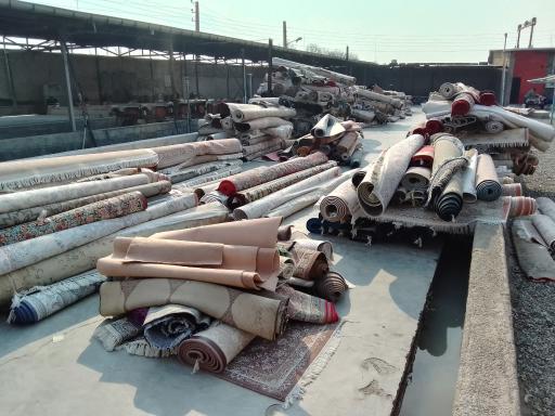 عکس قالیشویی عادل نوعی