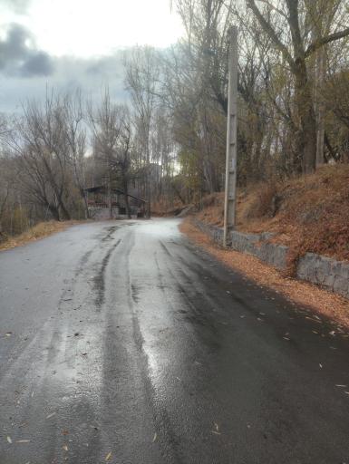 عکس پارک جنگلی مشکین شهر