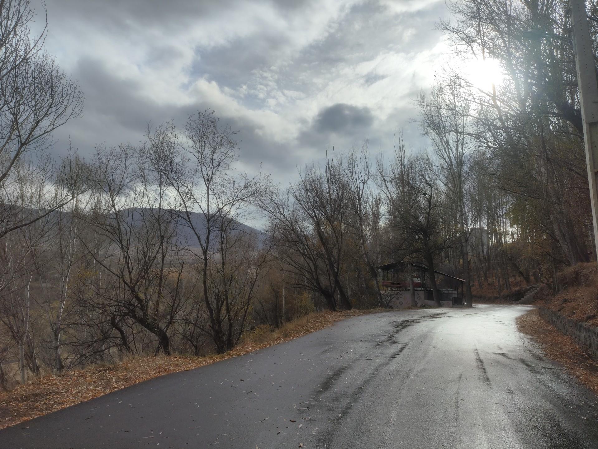 عکس پارک جنگلی مشکین شهر