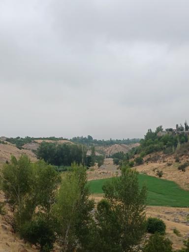 پارک جنگلی مشکین شهر