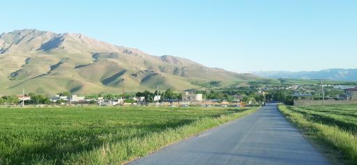 عکس طایمه