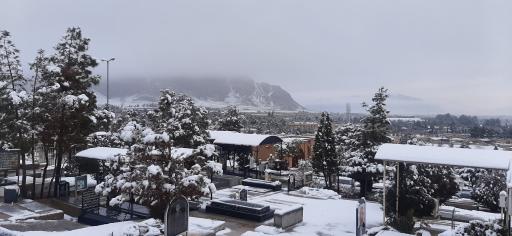 عکس آرامستان شاهرضا