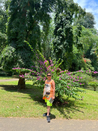 عکس بوستان آبشار