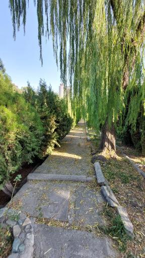 بوستان ساعی