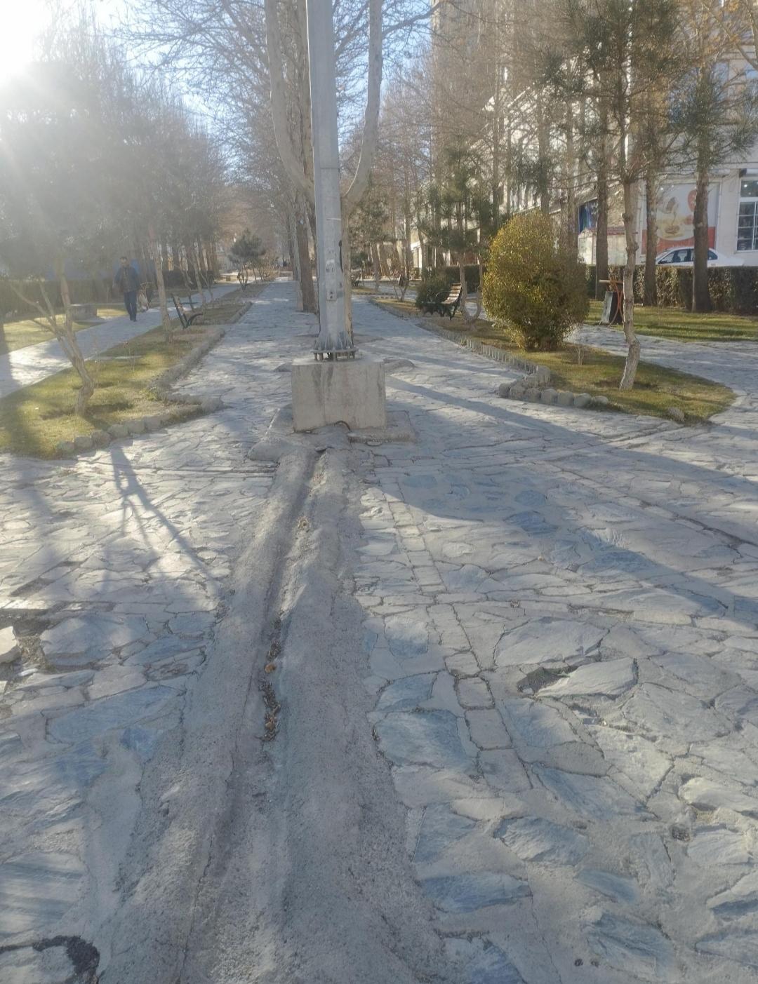 عکس بوستان پونه گردو