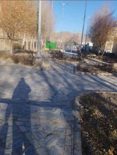 عکس بوستان پونه گردو