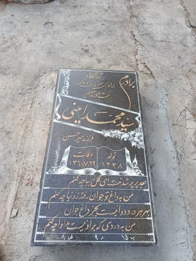 عکس آرامگاه سید محمد امینی