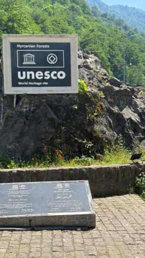 عکس جنگل‌های هیرکانی