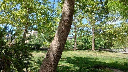 عکس بوستان آبشار