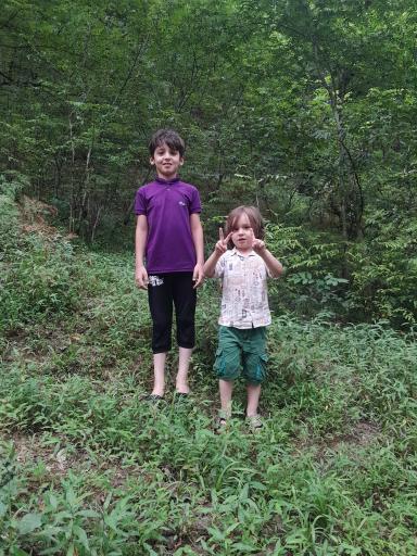 عکس جنگل‌های هیرکانی