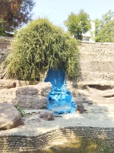 عکس بوستان ساعی