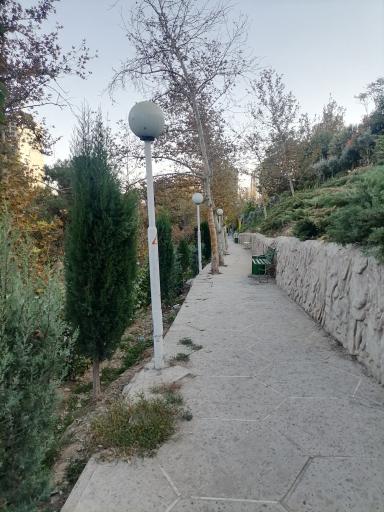 عکس بوستان ساعی