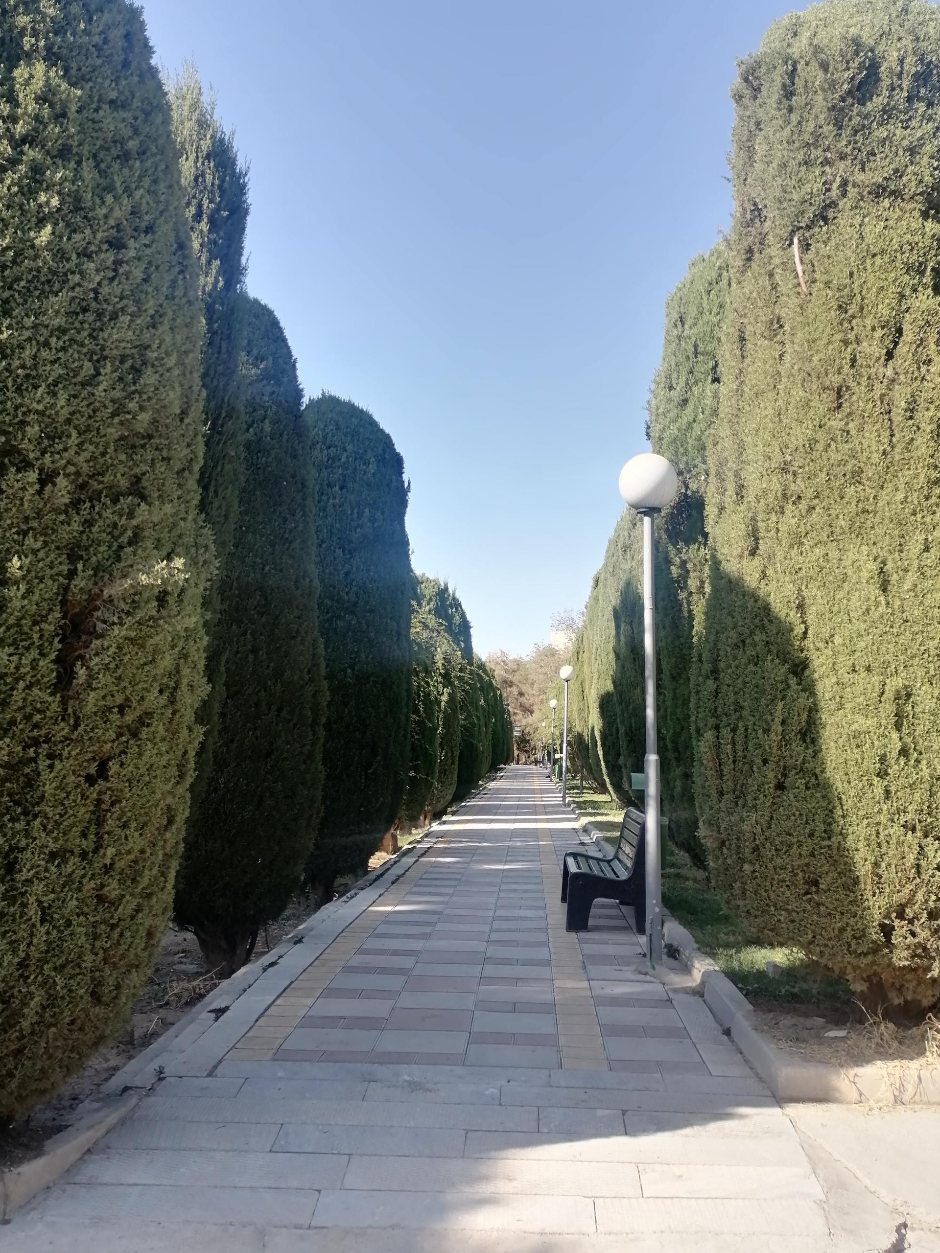 عکس بوستان ساعی