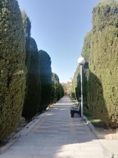 عکس بوستان ساعی