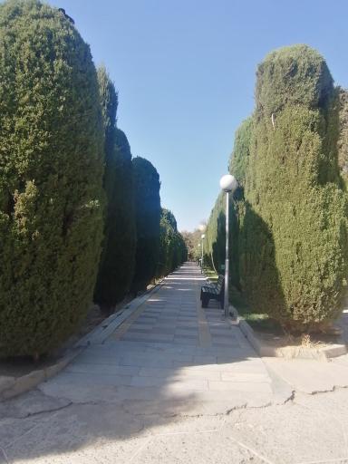 عکس بوستان ساعی