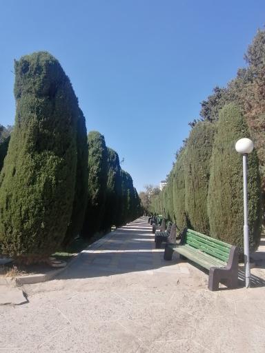 عکس بوستان ساعی