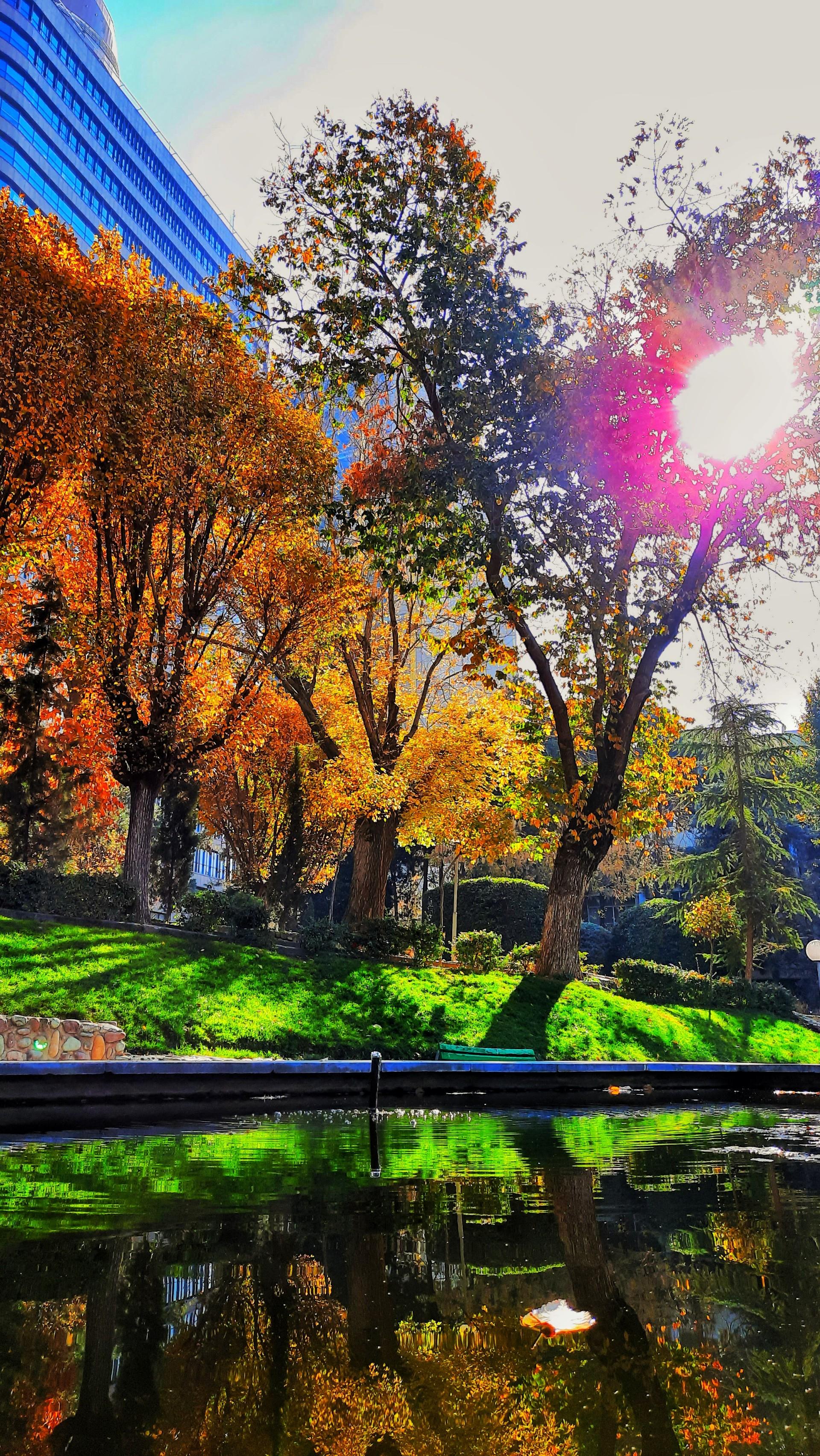 عکس بوستان ساعی