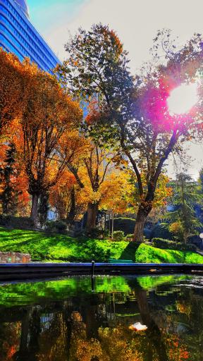 عکس بوستان ساعی