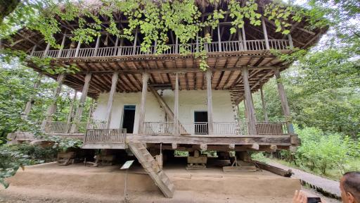 عکس جنگل‌های هیرکانی