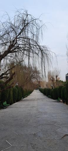 عکس بوستان ساعی