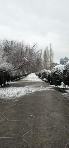 عکس بوستان ساعی