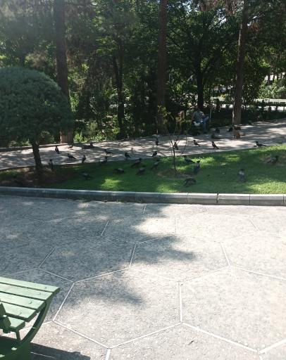 عکس بوستان ساعی