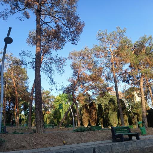 عکس بوستان ساعی