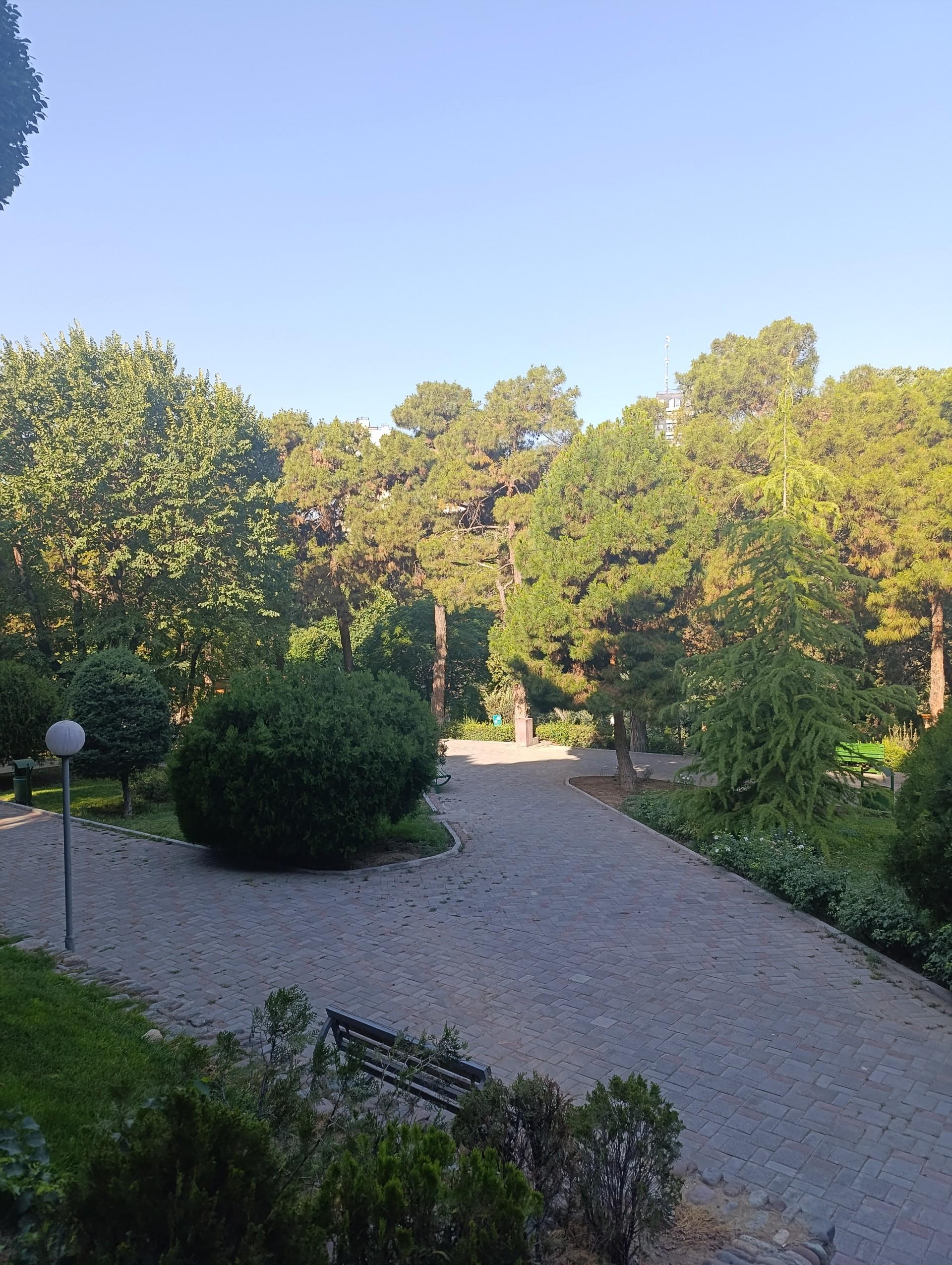 عکس بوستان ساعی