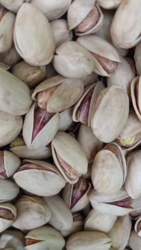 عکس پسته جواهر