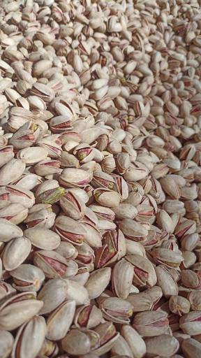 عکس پسته جواهر