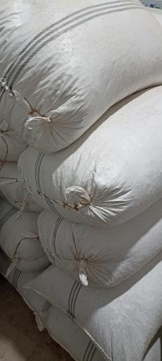 عکس پسته جواهر