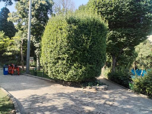 عکس بوستان ساعی