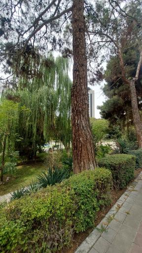عکس بوستان ساعی