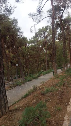 عکس بوستان ساعی